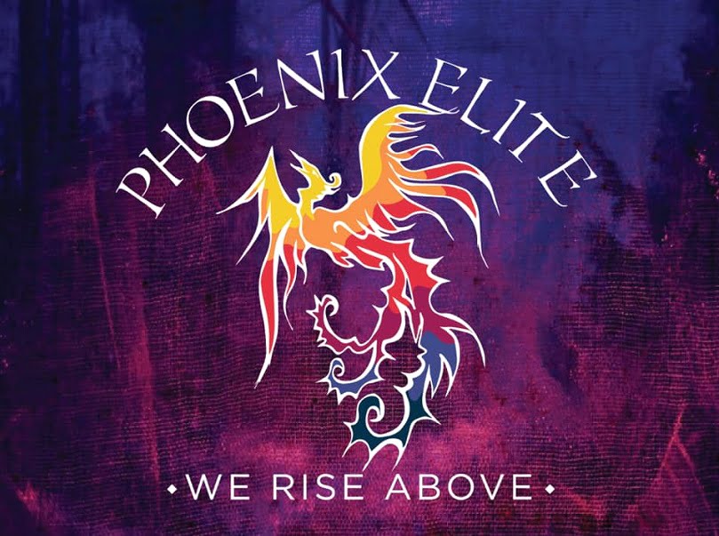 You are currently viewing The History of Phoenix Elite NJ