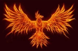 Read more about the article What the Phoenix Means to Us