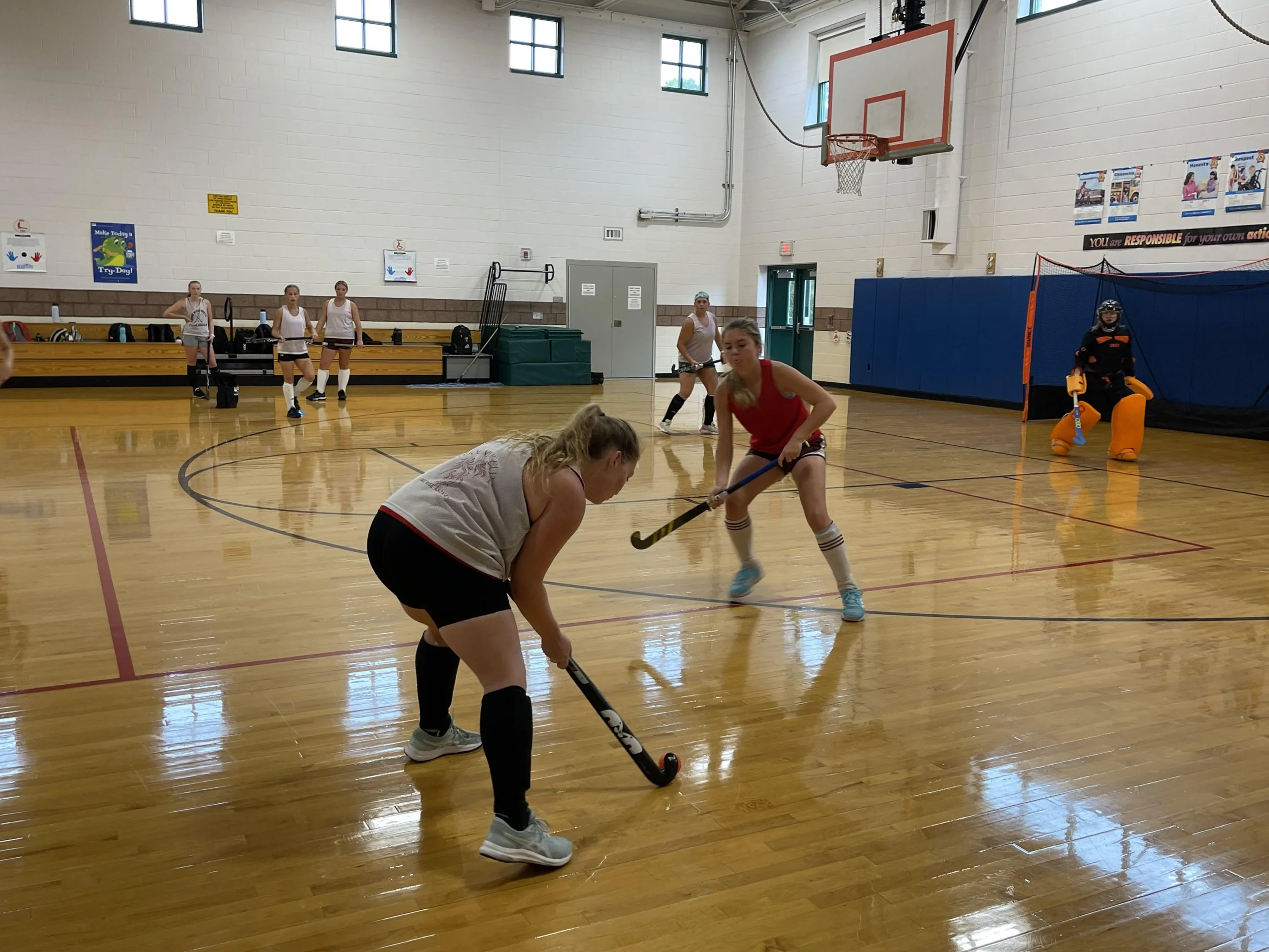 You are currently viewing What Is Indoor Field Hockey?