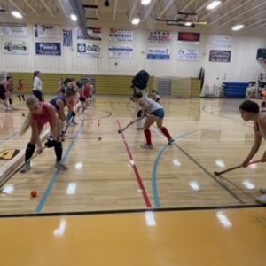 Phoenix Elite Club 2026-2027 Indoor New Player Evaluations (U12/U14/U16/U19)